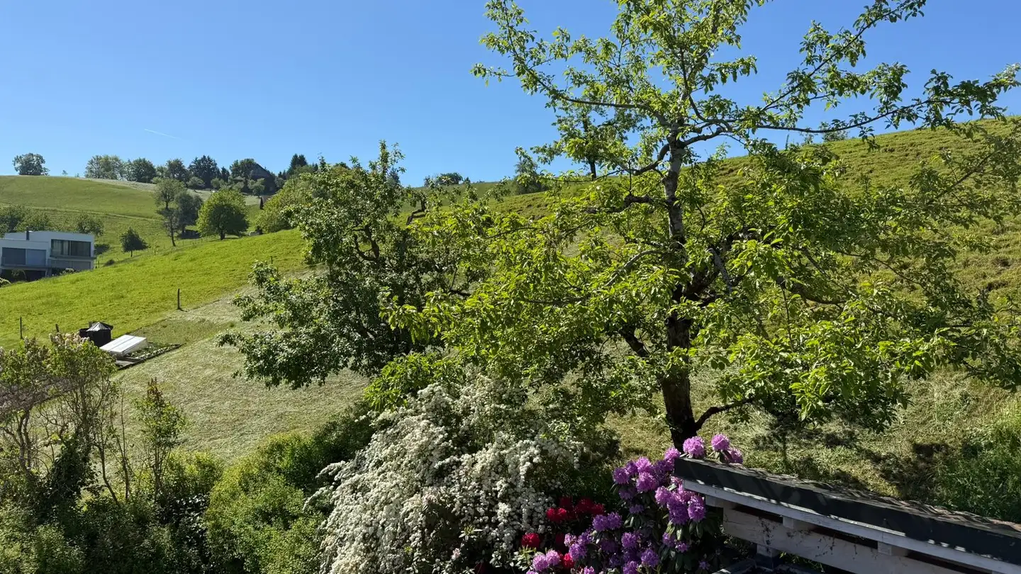 Maison individuelle à vendre - Mühlestrasse, 6313 Edlibach - Photo 3