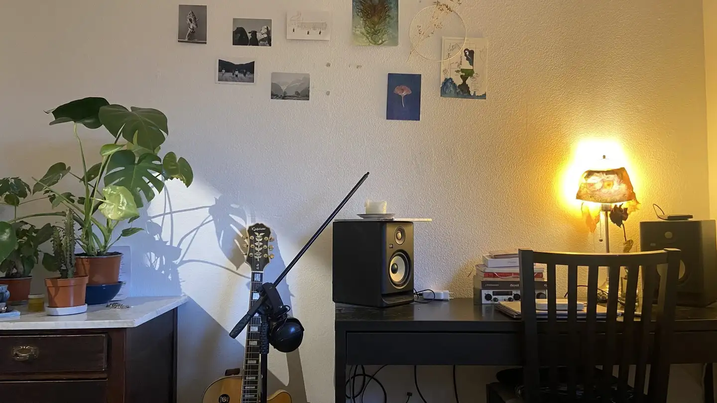 Single room for rent - 8048 Zürich - Photo 3