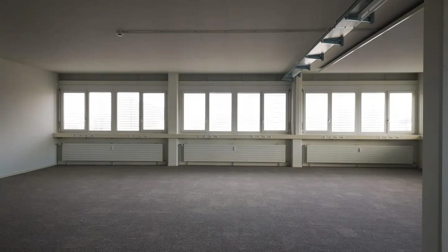 Commercial à louer - Sternenfeldstrasse 14, 4127 Birsfelden - Photo 2