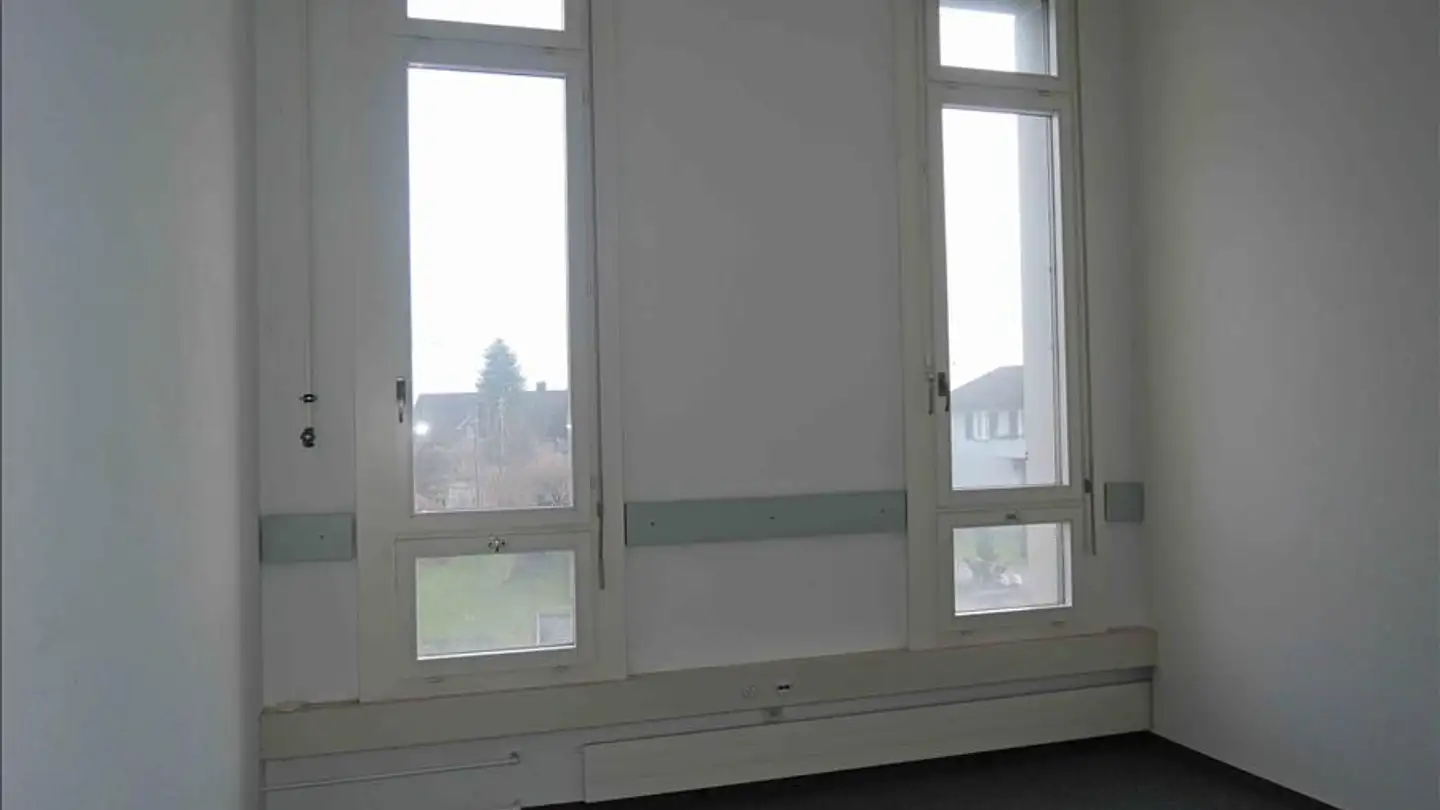 Gewerbe mieten - Ländernachstrasse 9, 9435 Heerbrugg - Foto 4