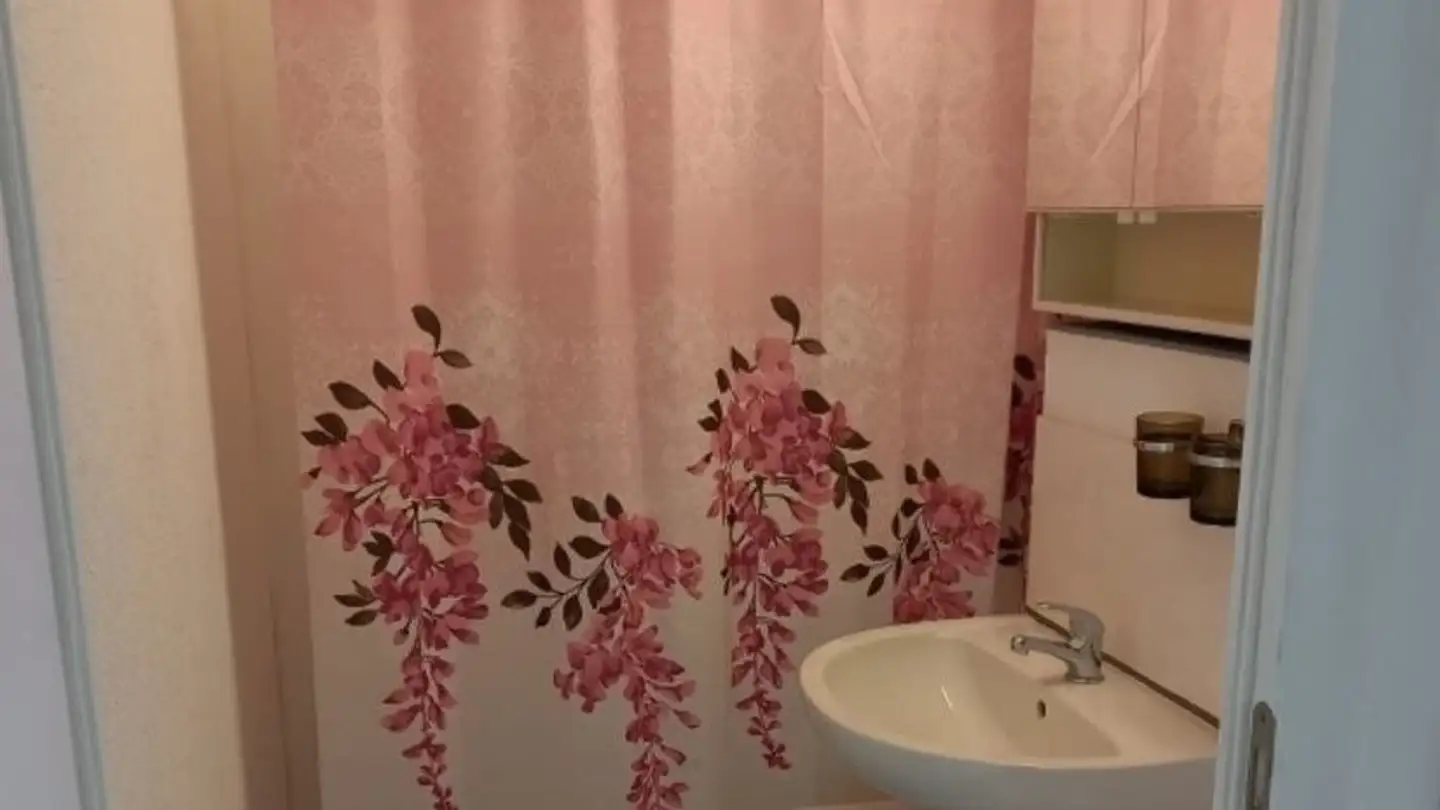 Single house for rent - 6710 Biasca - Photo 3