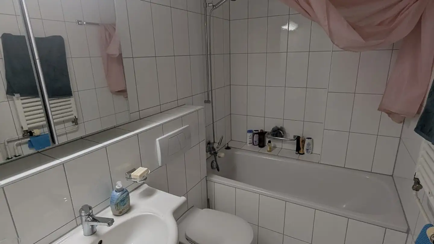 Single room for rent - Birskopfweglein 7, 4052 Basel - Photo 4