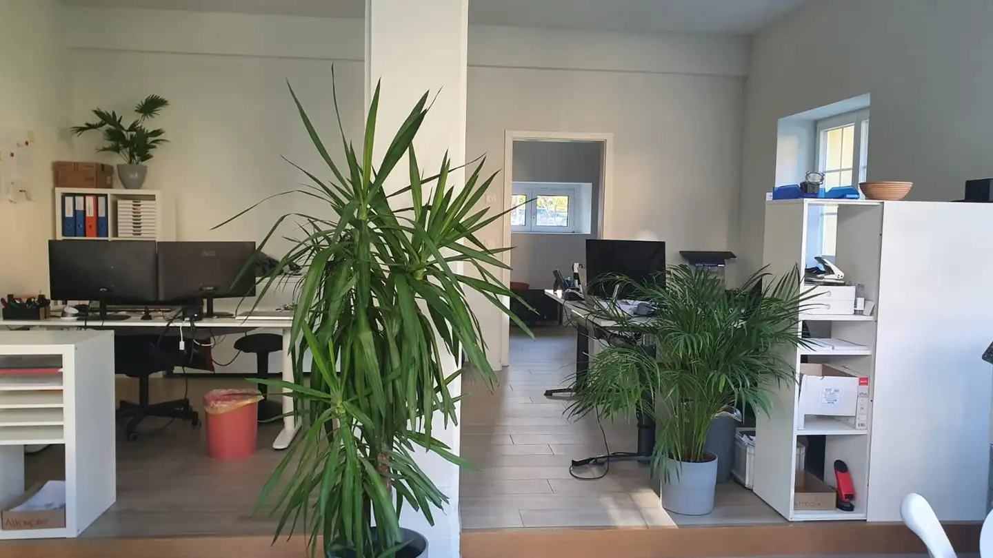 Spazio ufficio in affitto - Gotthardstrasse 62, 6415 Arth