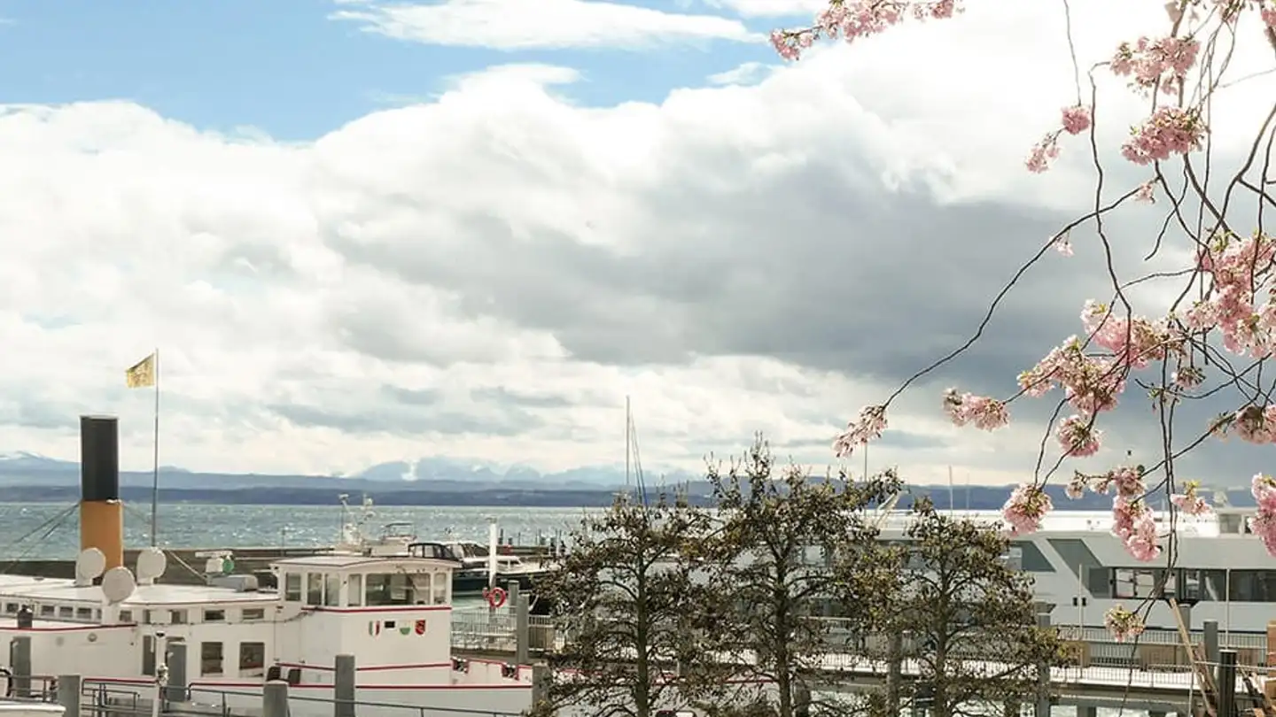 Einfamilienhaus kaufen - 2000 Neuchâtel - Foto 3