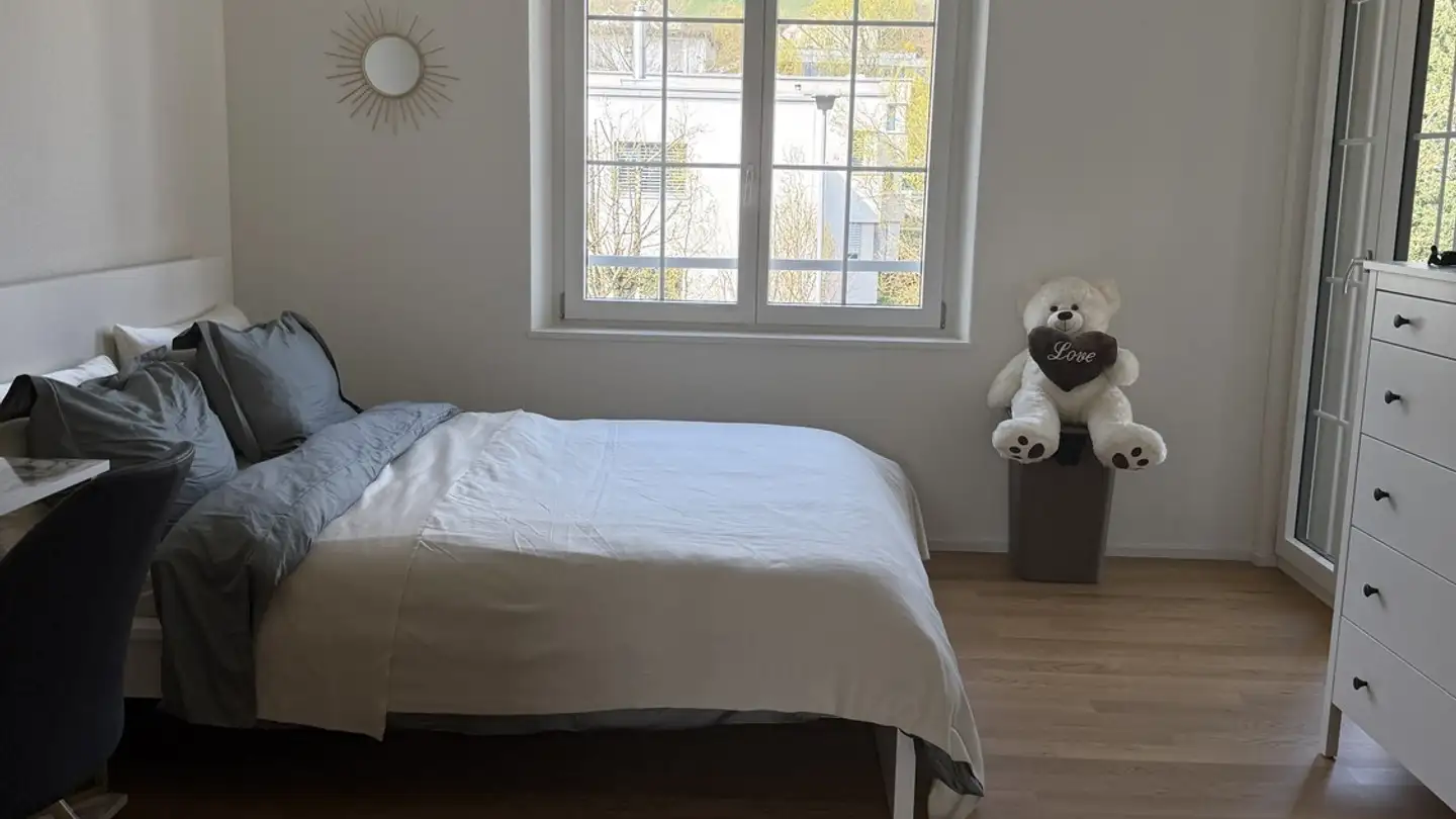 Single room for rent - Albisstrasse 53, 8134 Adliswil - Photo 3