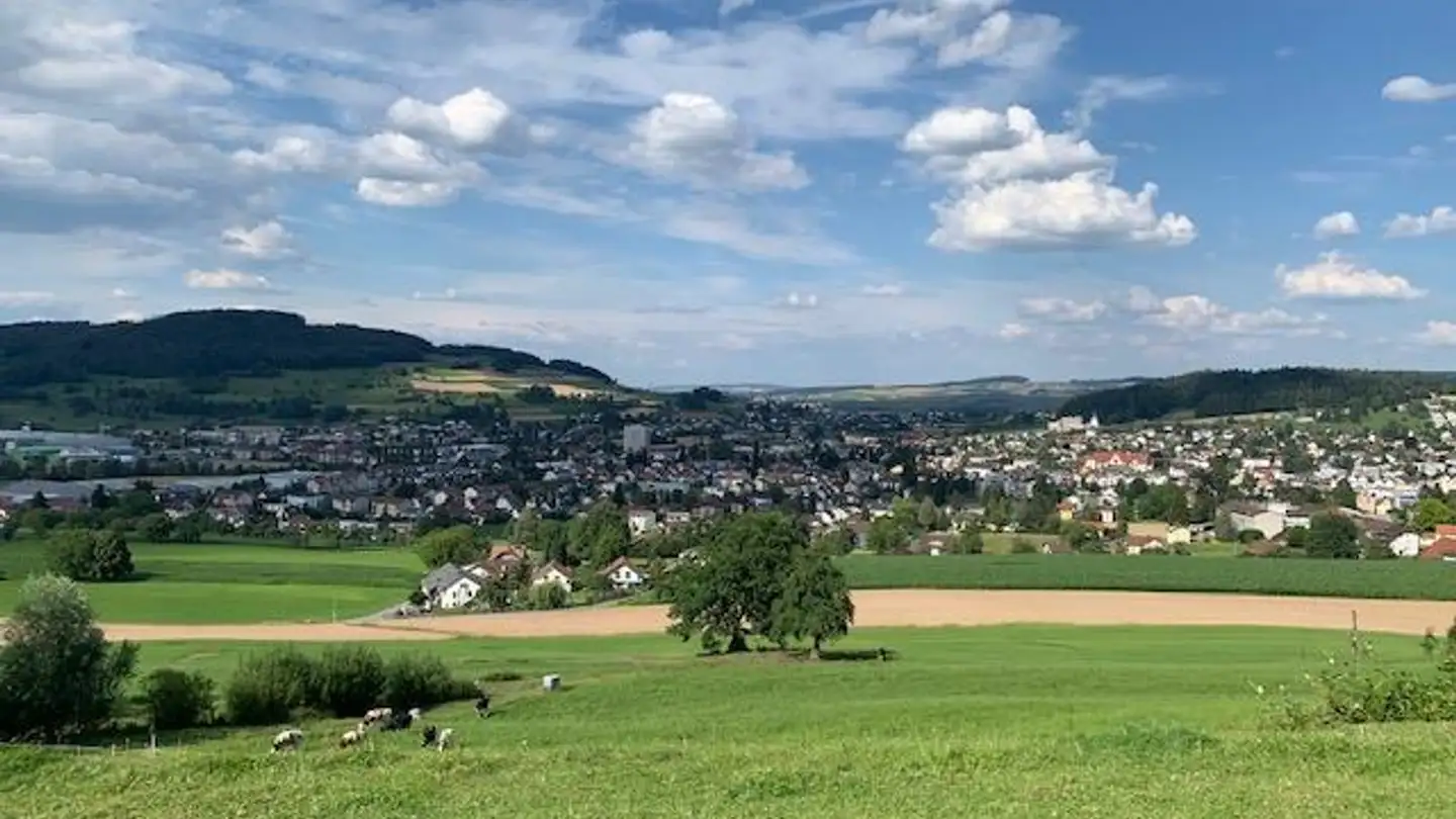 Single house for rent - Wiegenackerstrasse 4, 5735 Pfeffikon LU - Photo 3