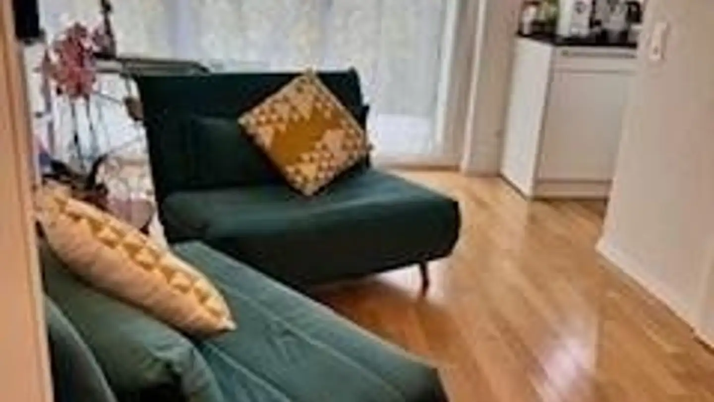 Apartment for rent - Büchelring 5, 8134 Adliswil - Photo 4