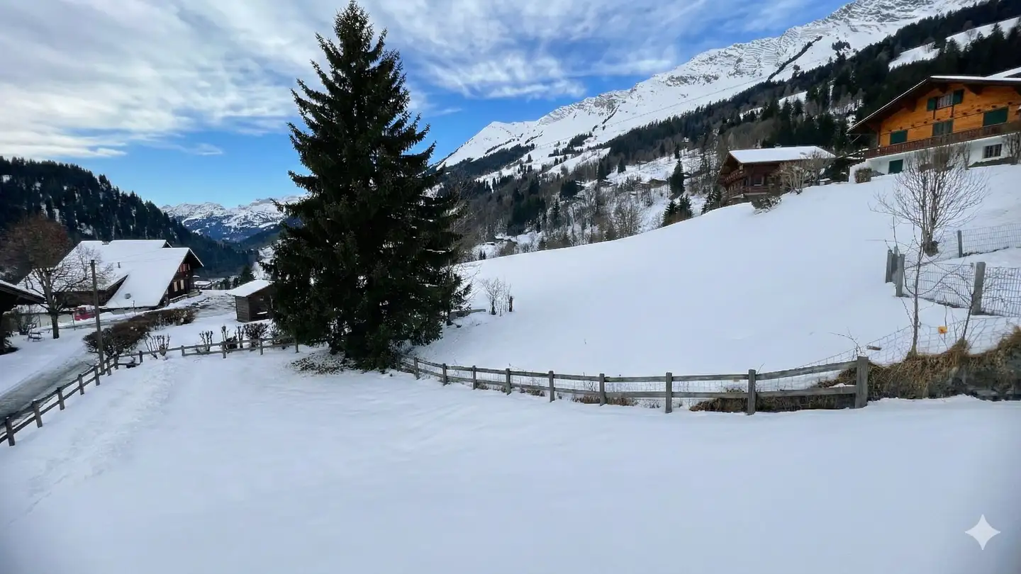 Chalet for sale - Chemin De La Cottettaz 2, 1865 Les Diablerets - Photo 3