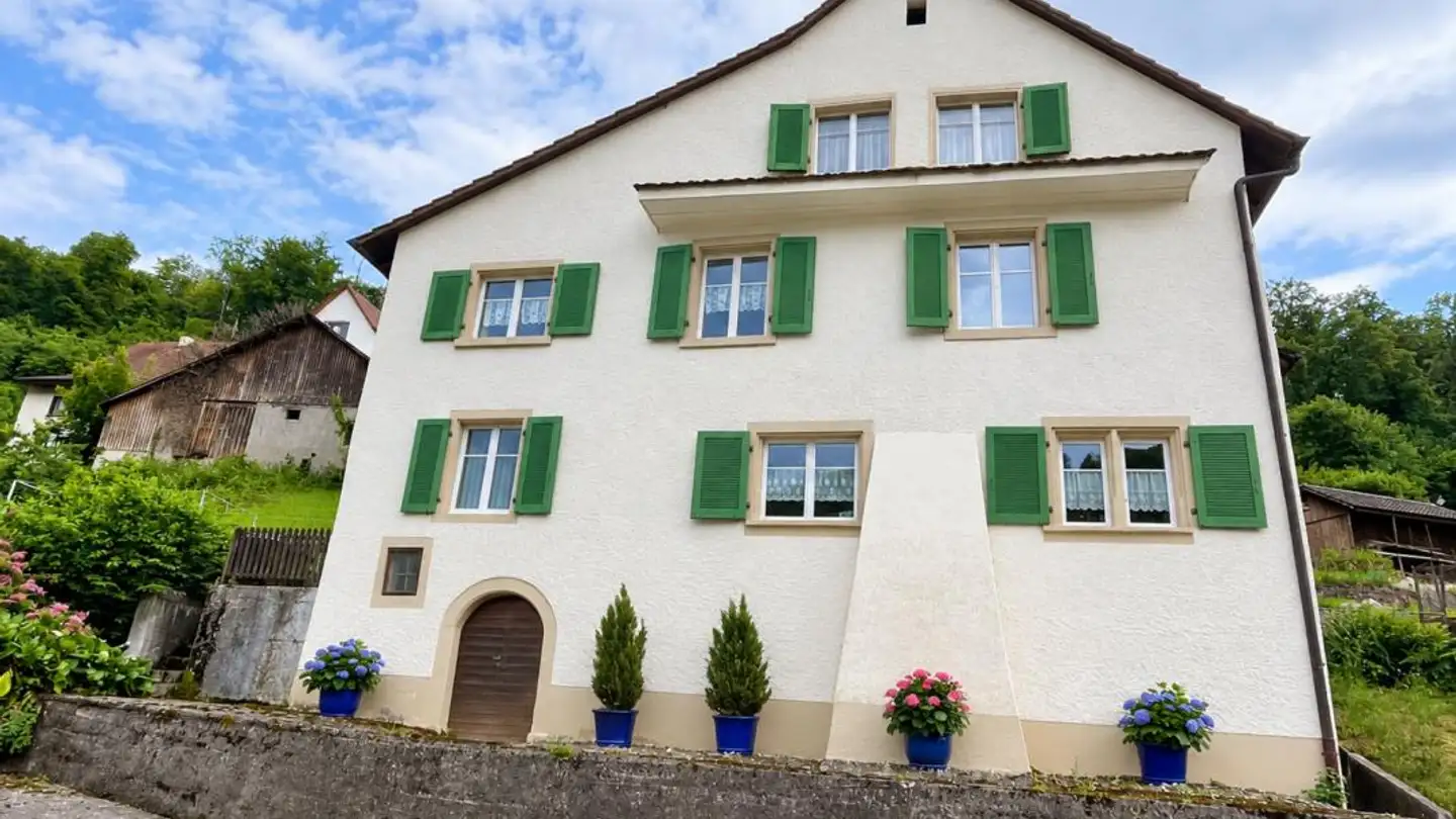 Ferme à vendre - 4451 Wintersingen