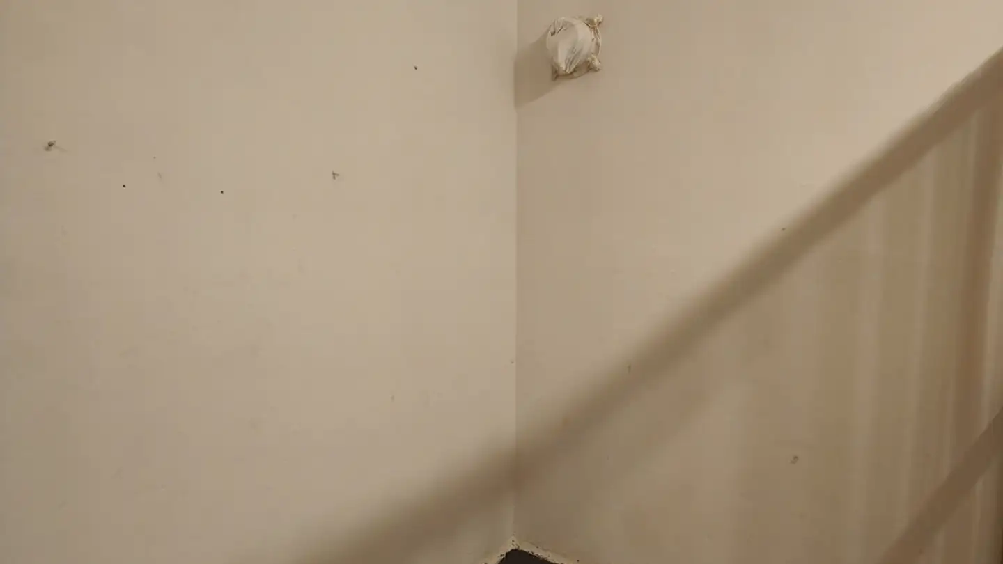 Storage space for rent - Schwarztorstrasse, 3007 Bern - Photo 3