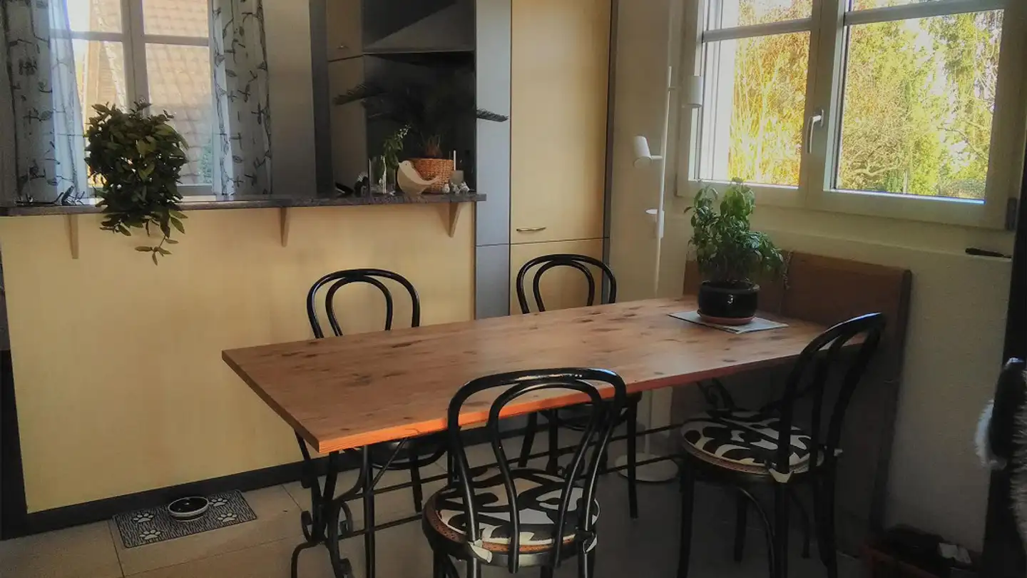 Appartamento in affitto - Arbonerstrasse 74, 8580 Amriswil - Photo 4