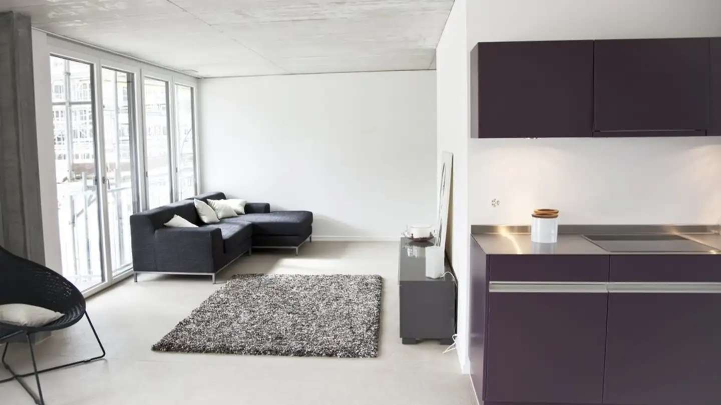 Loft for rent - Güterstrasse 3, 8952 Schlieren - Photo 3