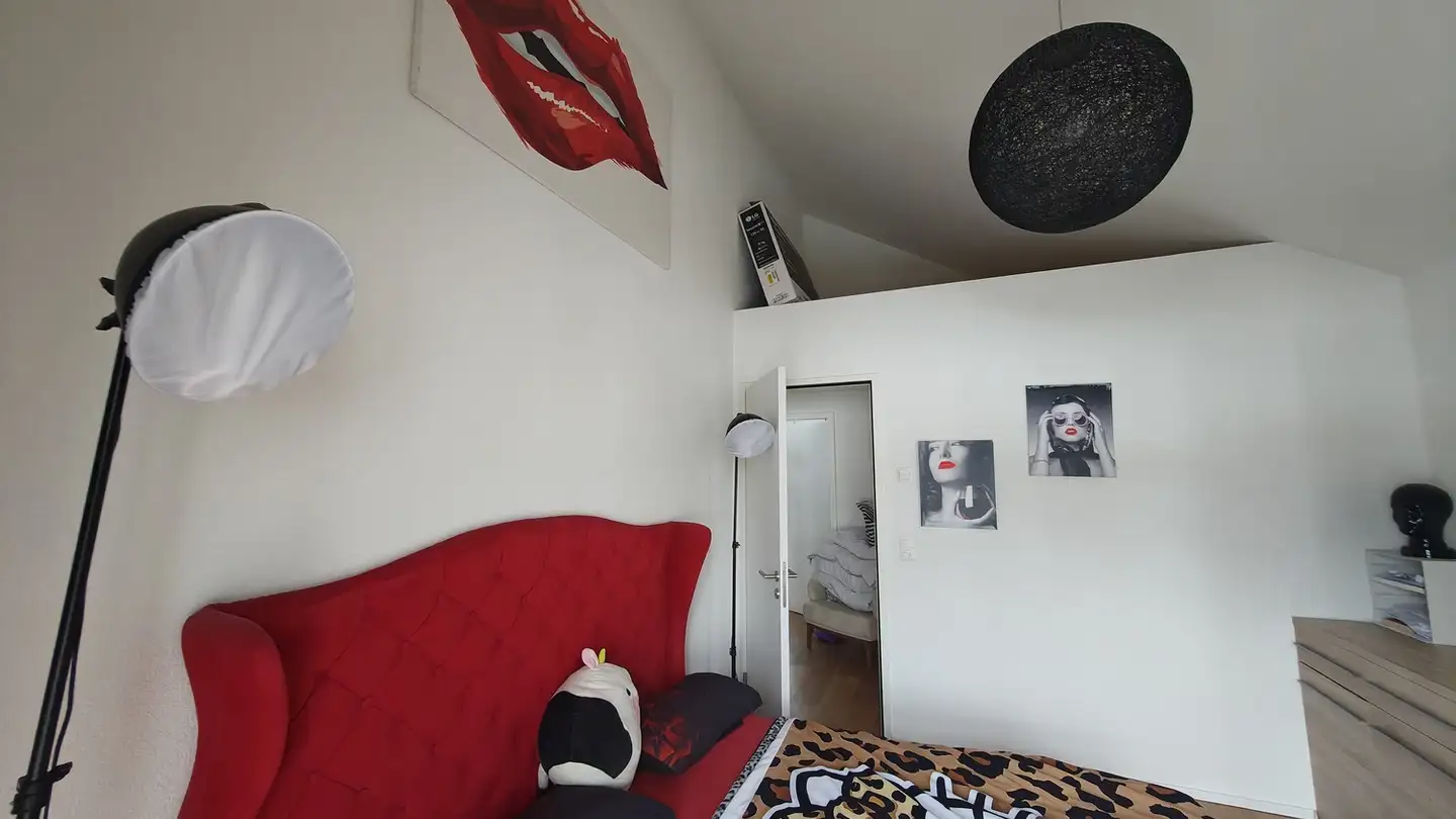 Stanza singola in affitto - 5234 Villigen