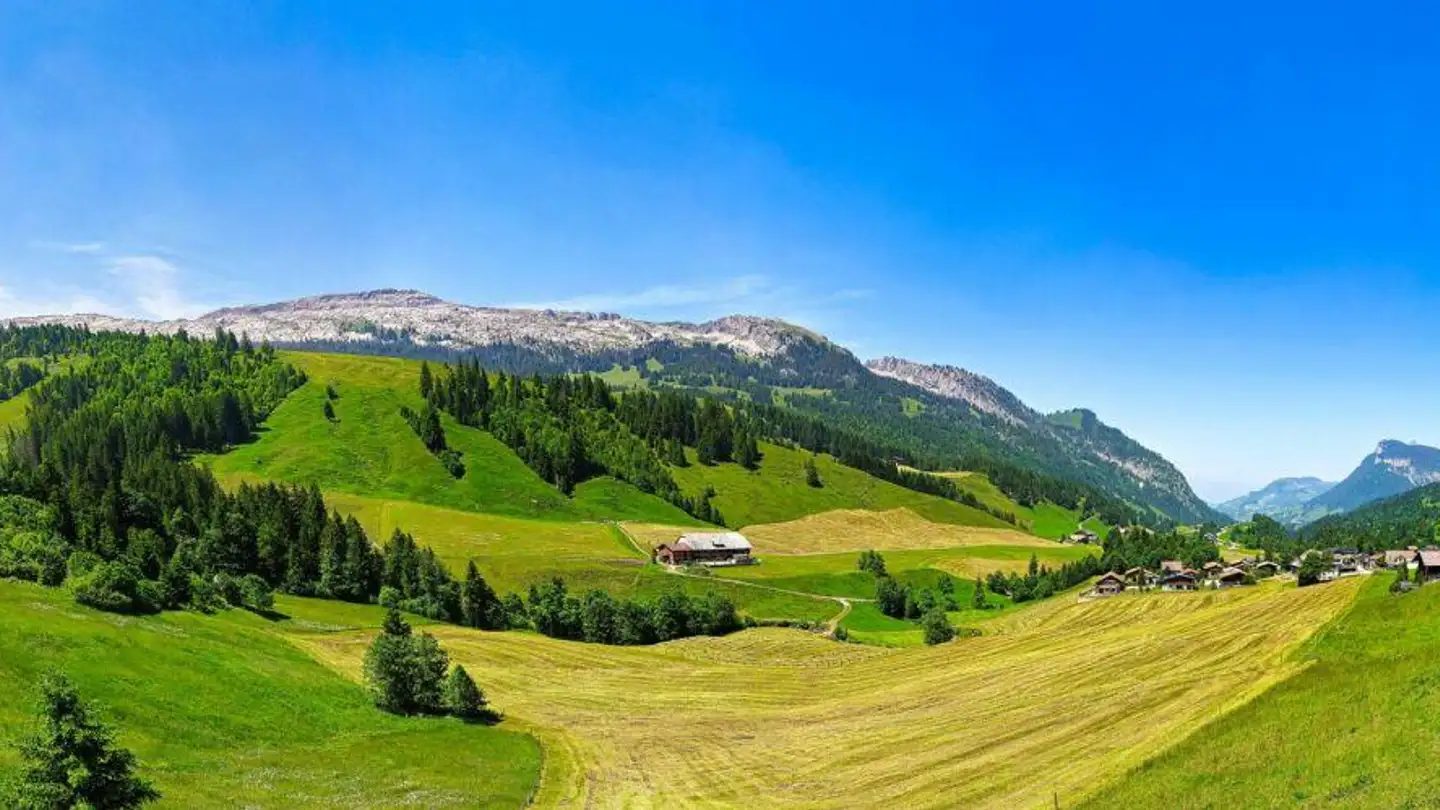 Appartamento in vendita - Salwidelistrasse 28, 6174 Sörenberg - Photo 2