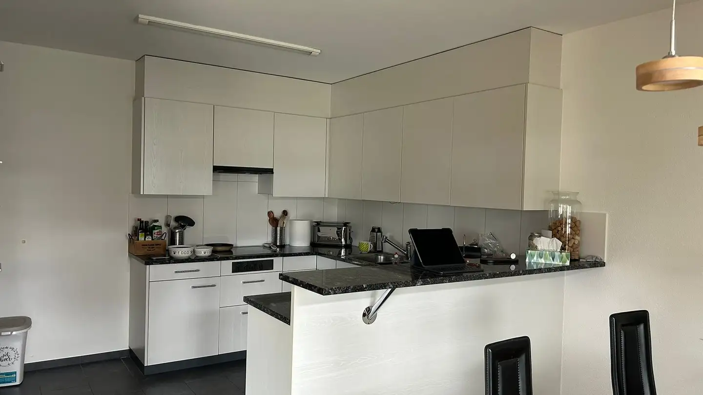 Apartment for rent - Engstringerstrasse 10, 8952 Schlieren - Photo 3