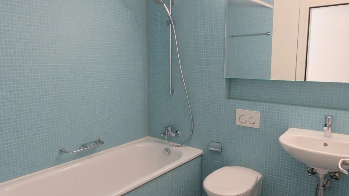 Appartamento in affitto - Wiesenstrasse 14b, 8952 Schlieren - Foto 3