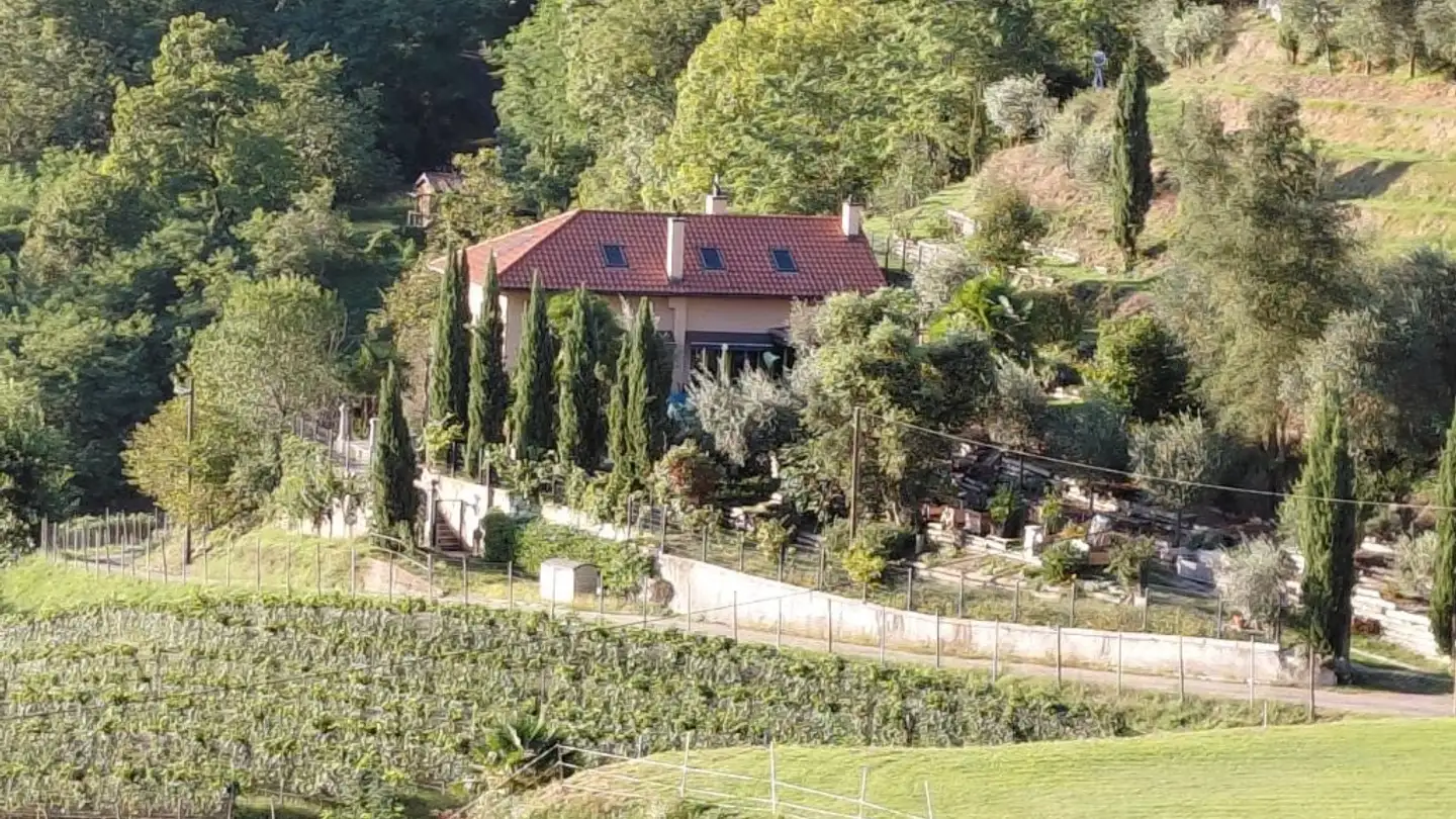 Einfamilienhaus kaufen - Purasca, 6989 Purasca