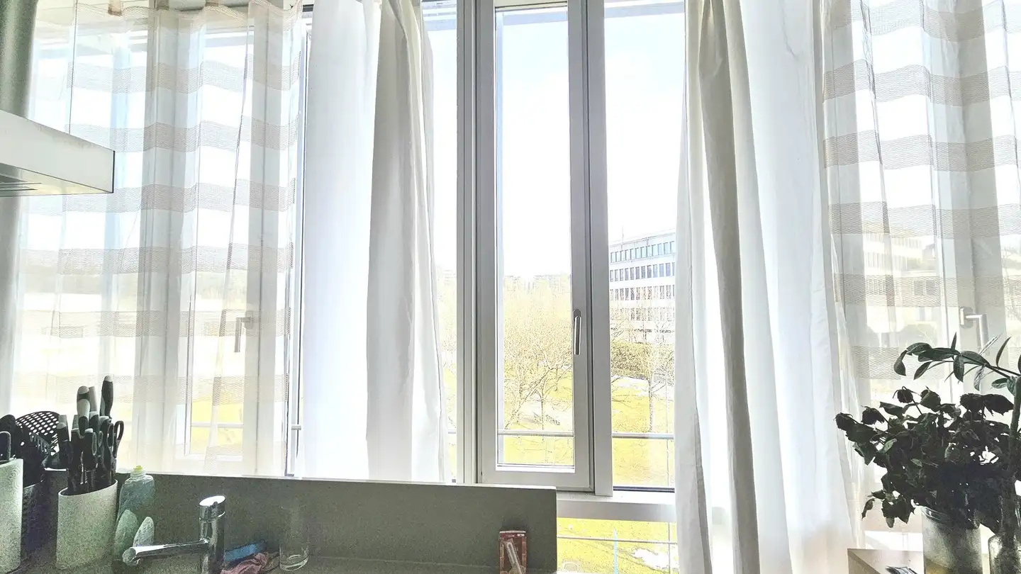 Wohnung mieten - Im Sihlhof 2, 8134 Adliswil - Foto 2