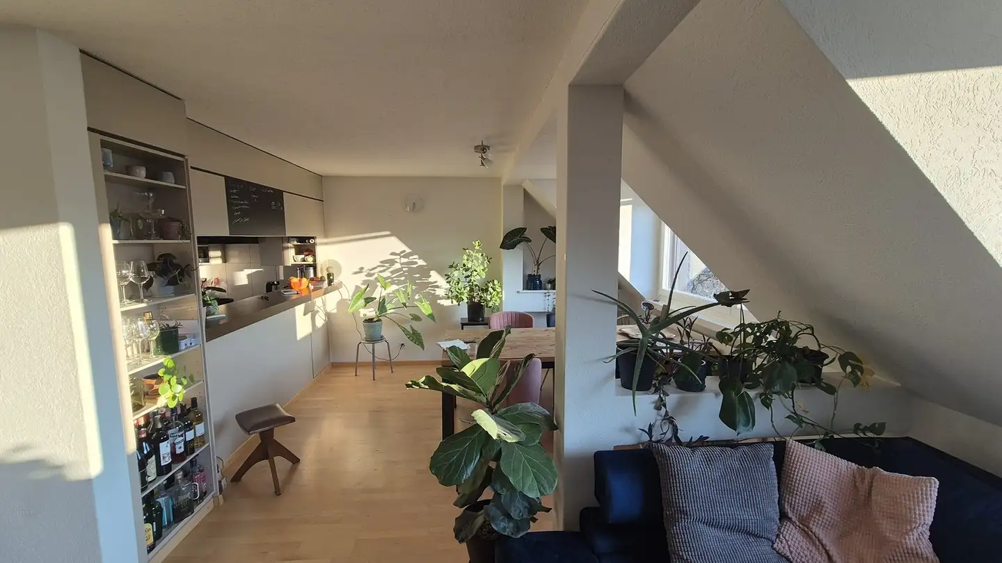 Stanza singola in affitto - Dufourstrasse 161, 8008 Zürich