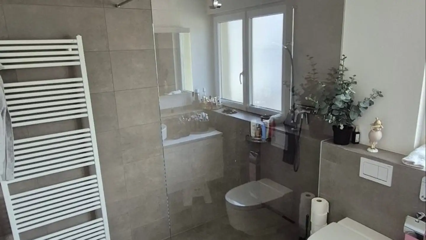 Appartement à louer - 4441 Thürnen