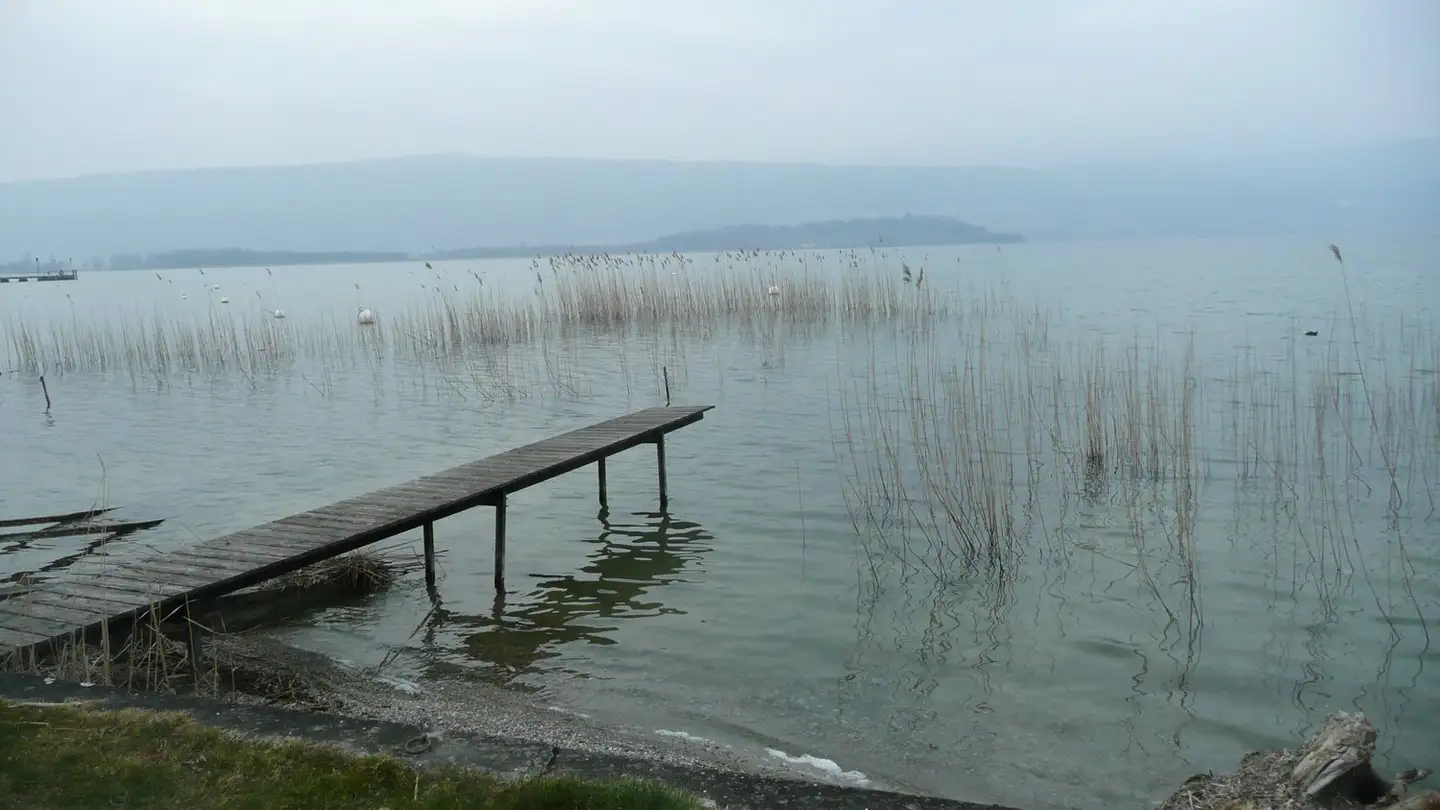Dachgeschosswohnung kaufen - Baumgarten, 2576 Lüscherz