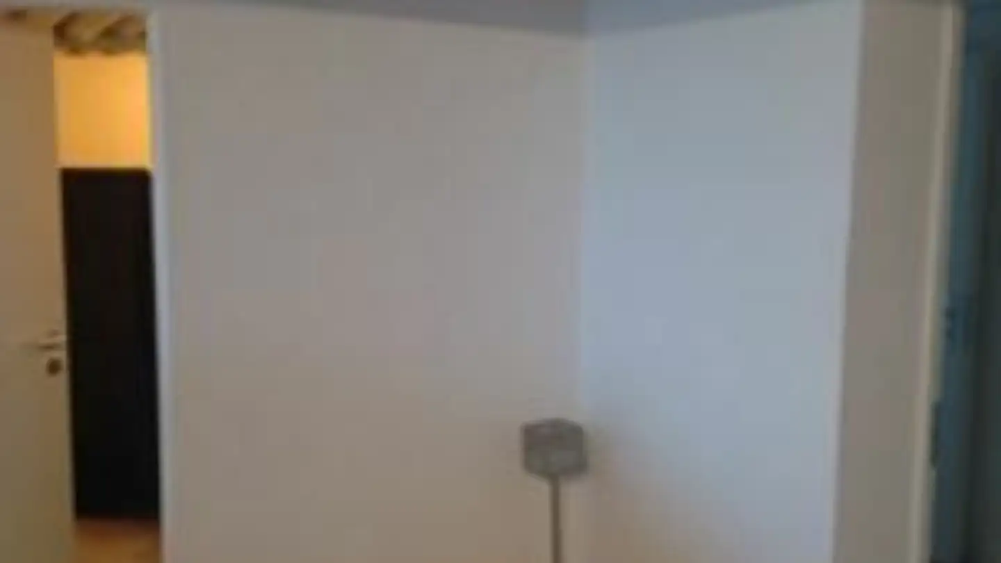 Spazio di archiviazione in affitto - Route Des Biolley 19, 1615 Bossonnens - Photo 4