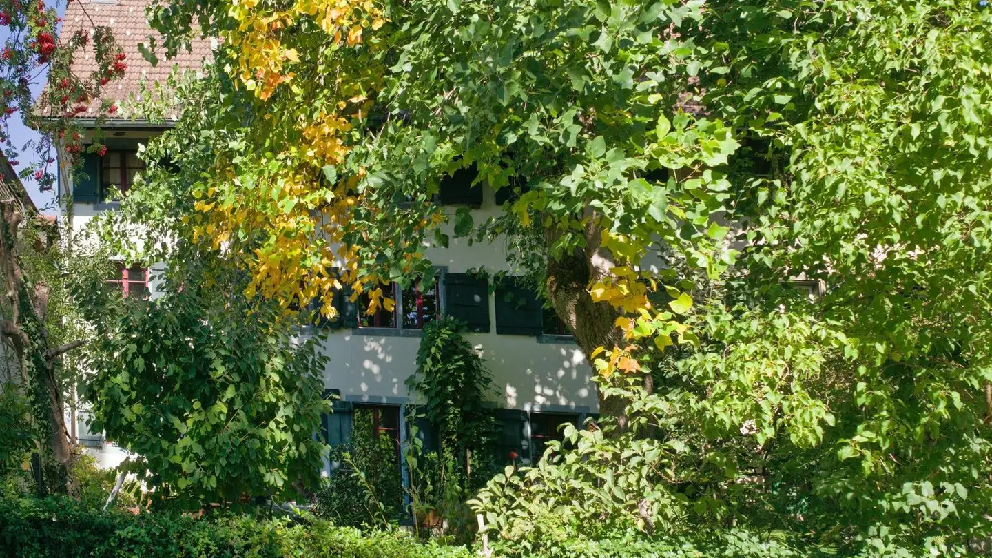Row house for rent - Alte Bettswilerstrasse 7, 8344 Bäretswil - Photo 3