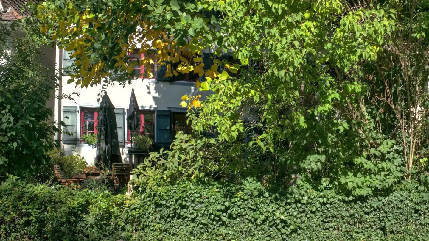 Row house for rent - Alte Bettswilerstrasse 7, 8344 Bäretswil - Photo 4