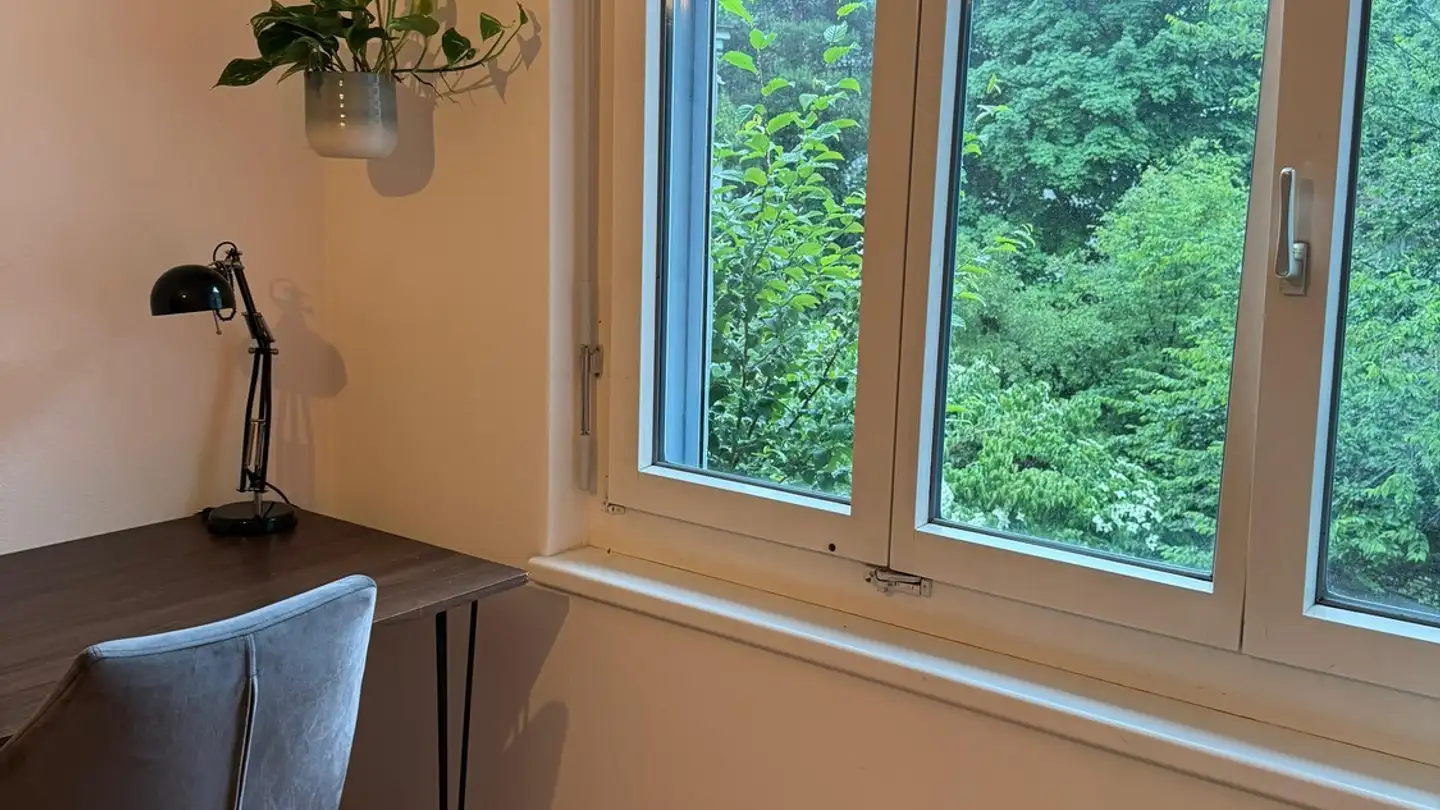 Chambre à louer - Hörnlistrasse 2, 8057 Zürich - Photo 4