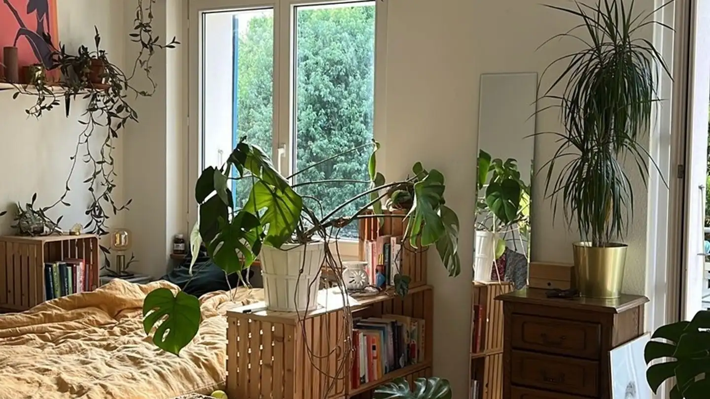 Single room for rent - 3006 Bern