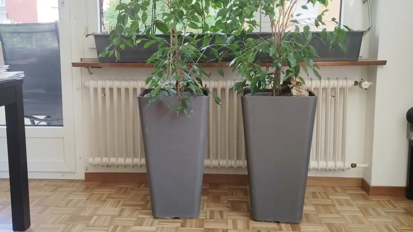 Appartamento in affitto - J.J. Ryffelstrasse 4, 5430 Wettingen