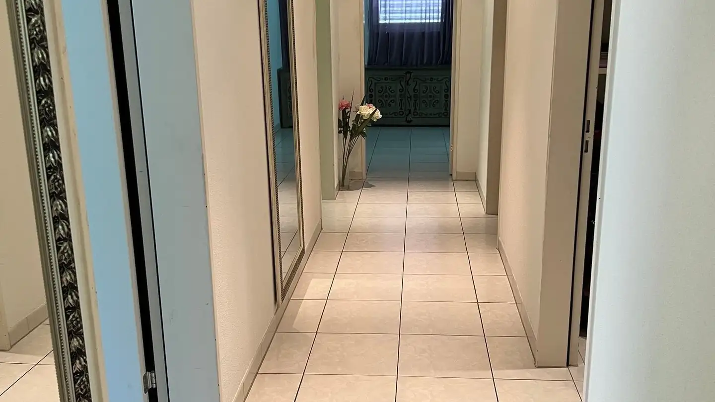 Appartamento in vendita - Birmensdorferstrasse 31, 8953 Dietikon - Foto 3
