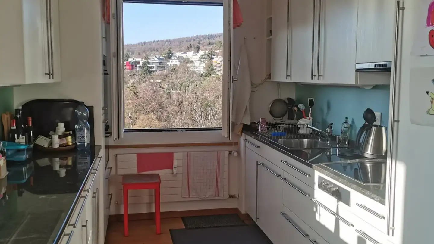 Appartamento in affitto - Rehalpstrasse 7, 8008 Zürich - Foto 2
