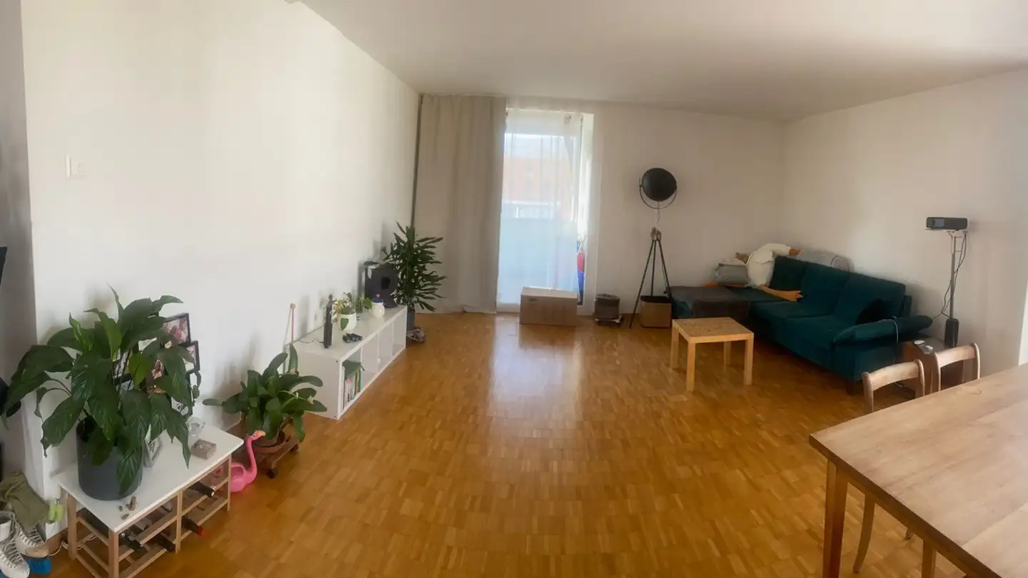 Chambre à louer - 8048 Zürich