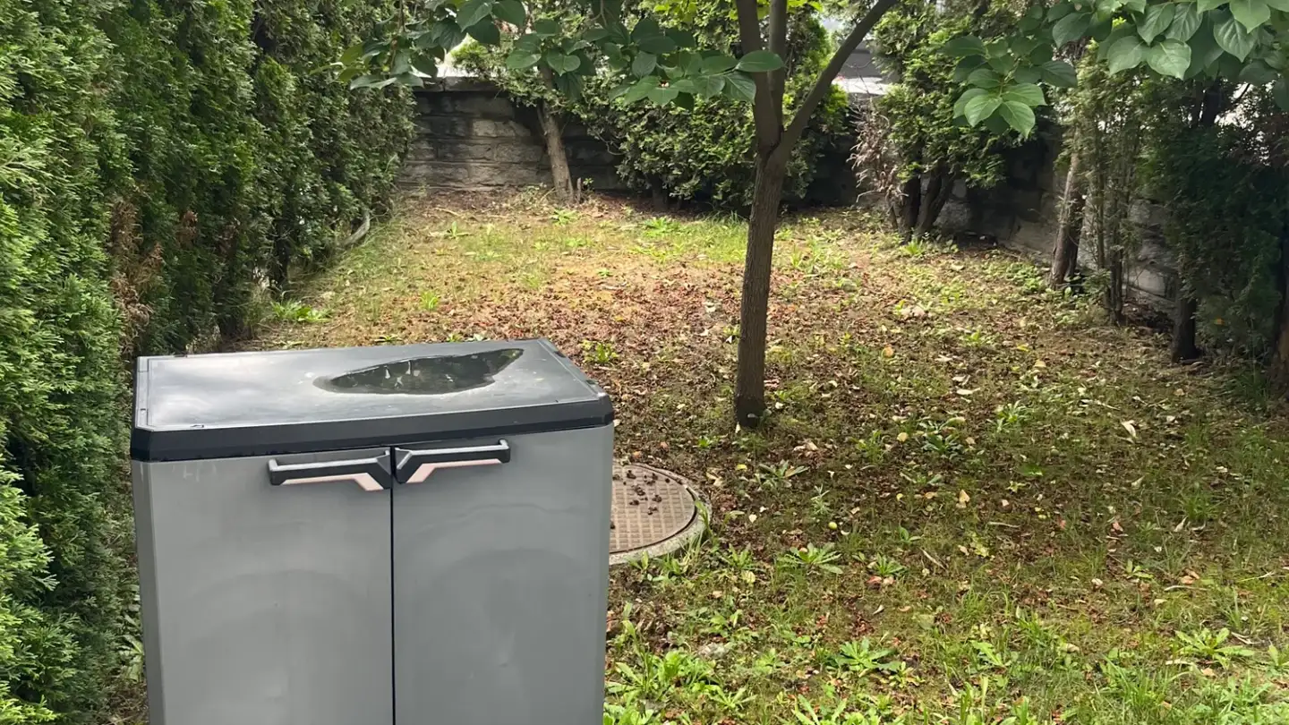 Wohnung mieten - 6500 Bellinzona