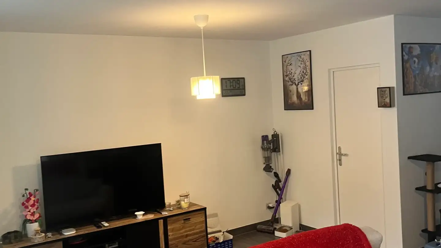 Wohnung mieten - 6500 Bellinzona - Foto 4