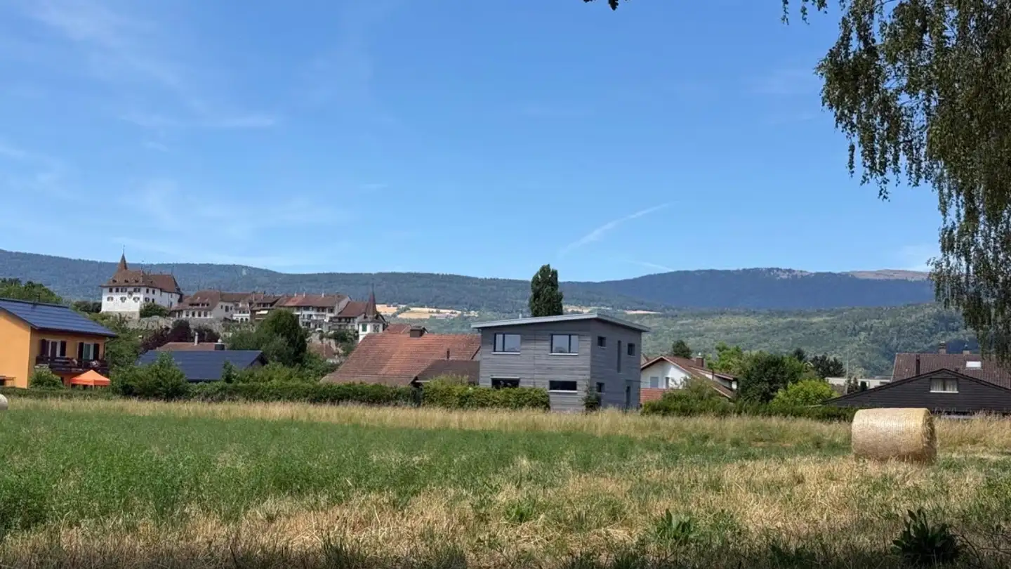 Einfamilienhaus kaufen - Moosentli, 3235 Erlach - Foto 4