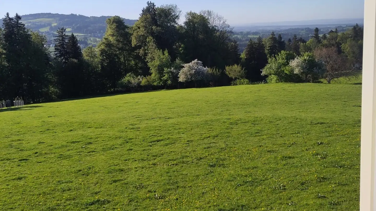 Single room for rent - 9000 St. Gallen - Photo 2