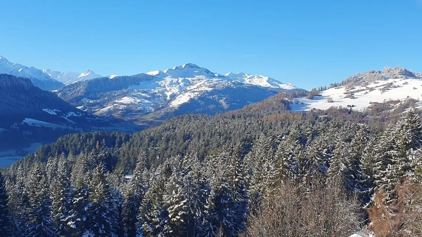 Mehrfamilienhaus kaufen - Via Salums 12, 7031 Laax GR - Foto 2