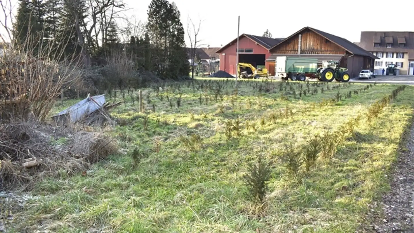 Wohnung kaufen - Kirchweg, 5621 Zufikon - Foto 2