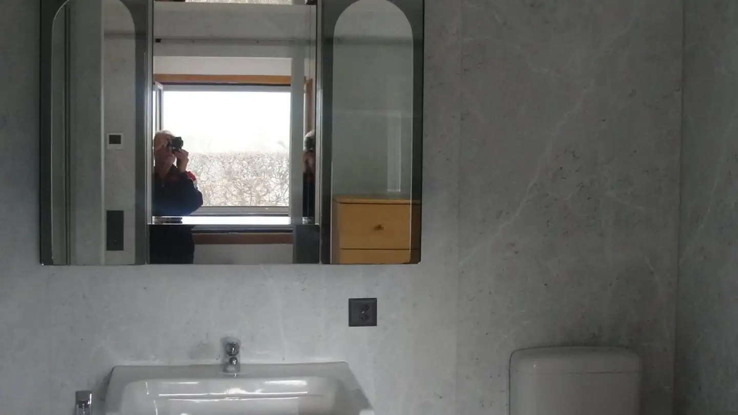 Appartement à louer - 1716 Plaffeien - Photo 4