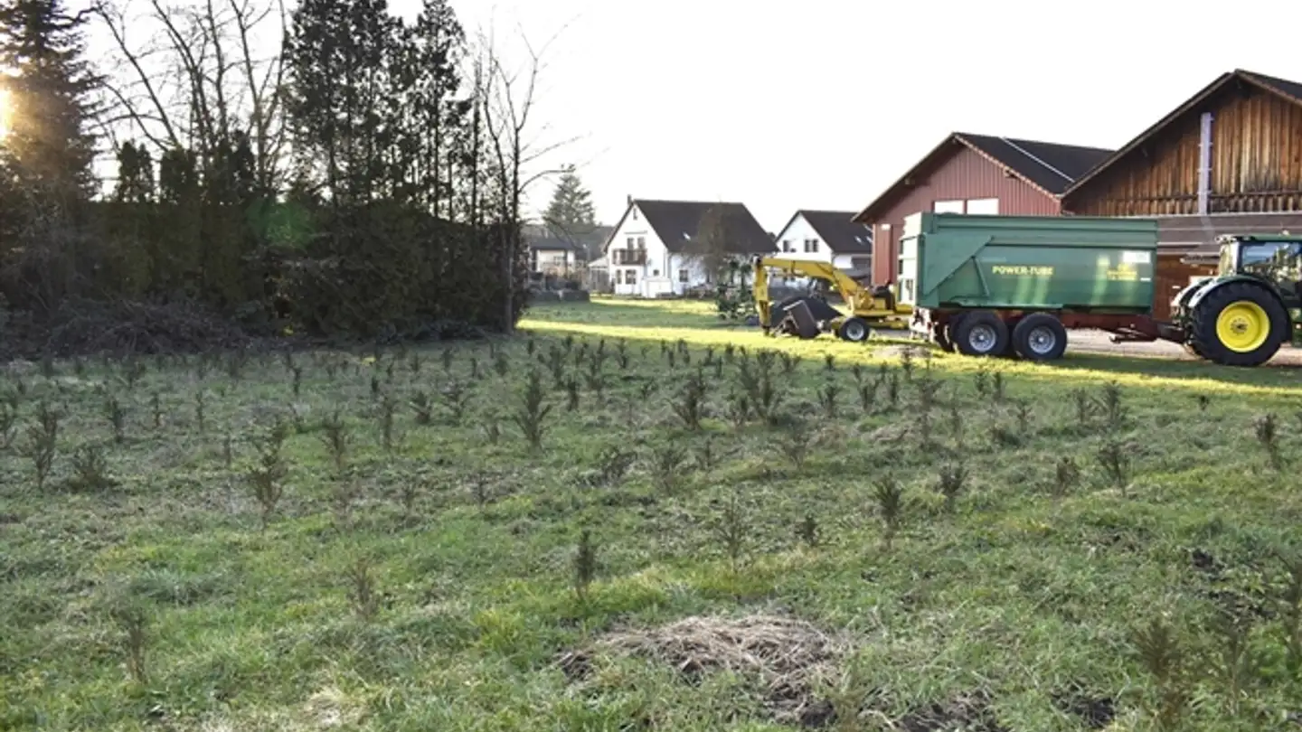 Wohnung kaufen - Kirchweg, 5621 Zufikon - Foto 3