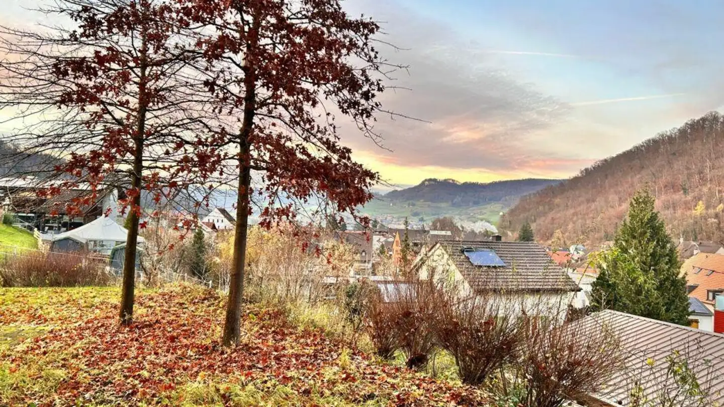 Wohnung kaufen - Schulgasse 17, 4455 Zunzgen - Foto 2