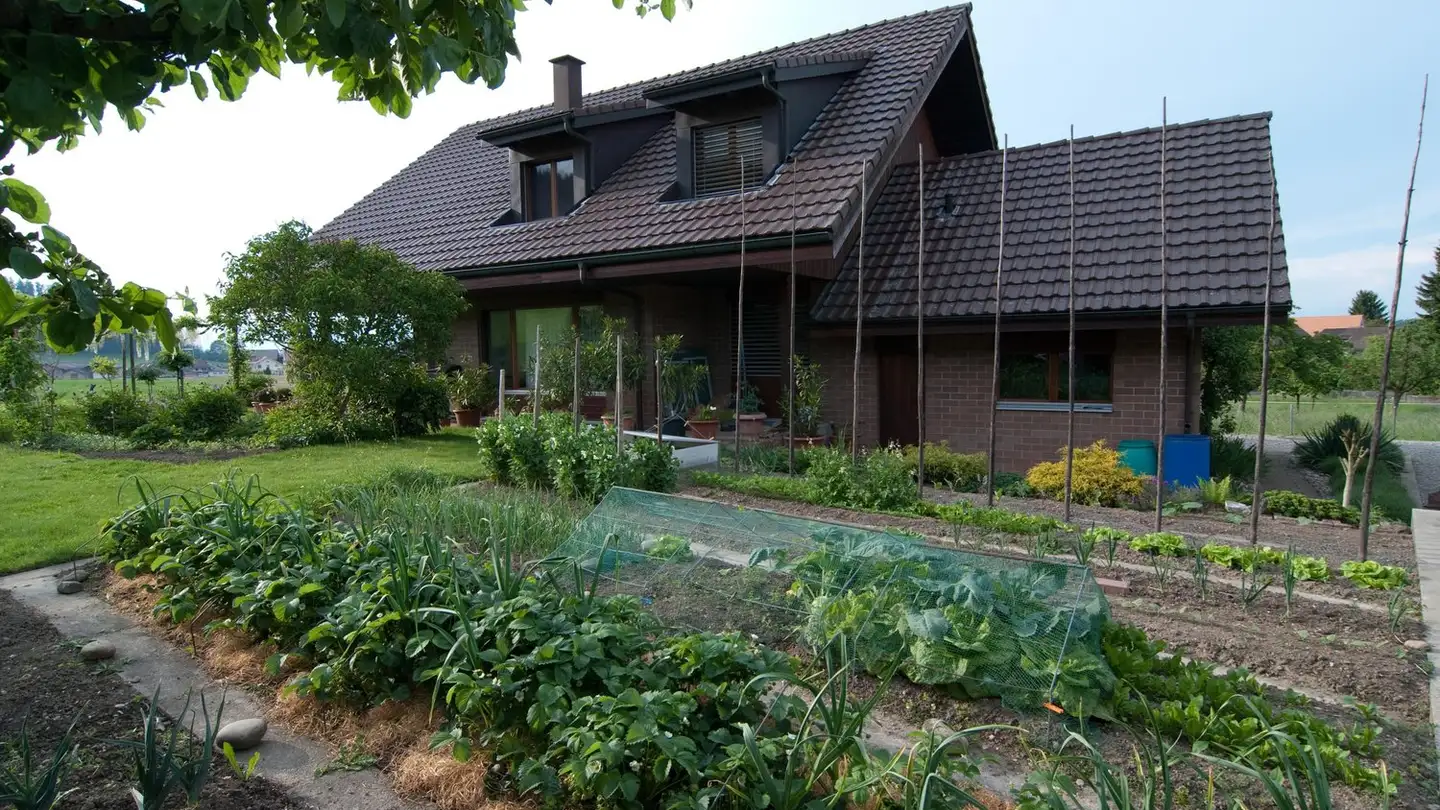 Maison individuelle à louer - Mühleweg 6, 3054 Schüpfen - Photo 4