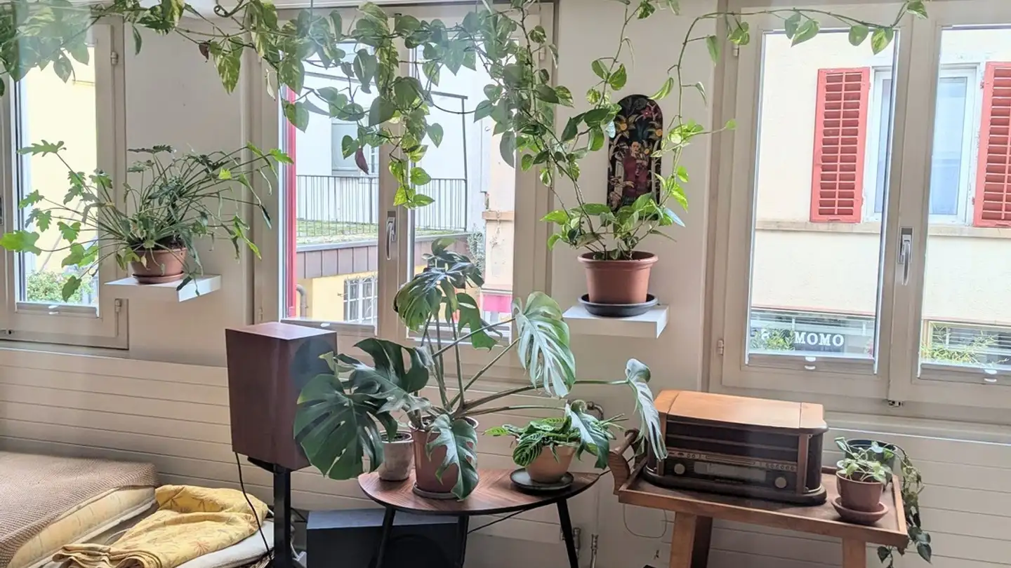 Stanza singola in affitto - Schwanengasse, 8810 Horgen - Photo 3