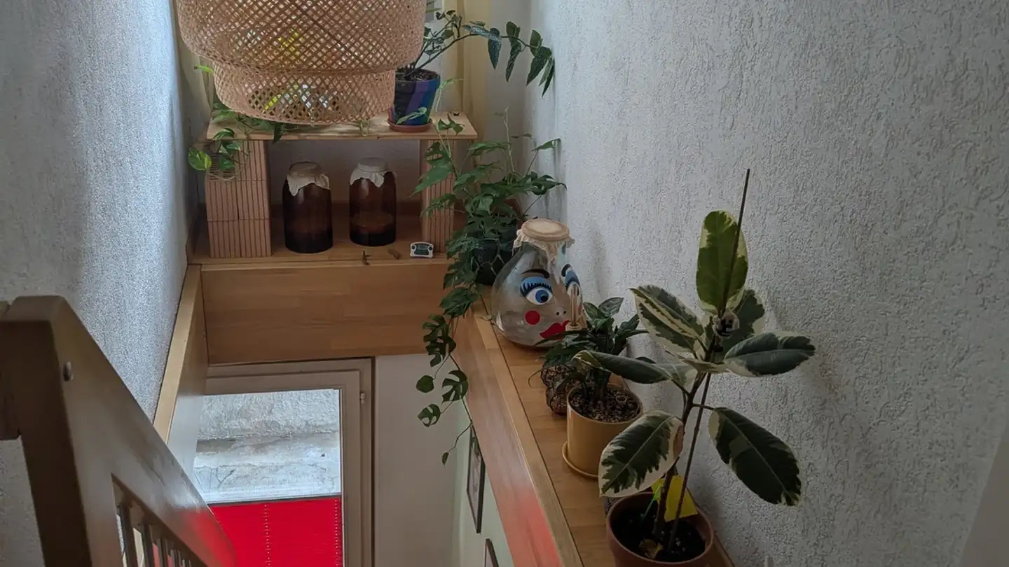 Stanza singola in affitto - Schwanengasse, 8810 Horgen - Photo 4