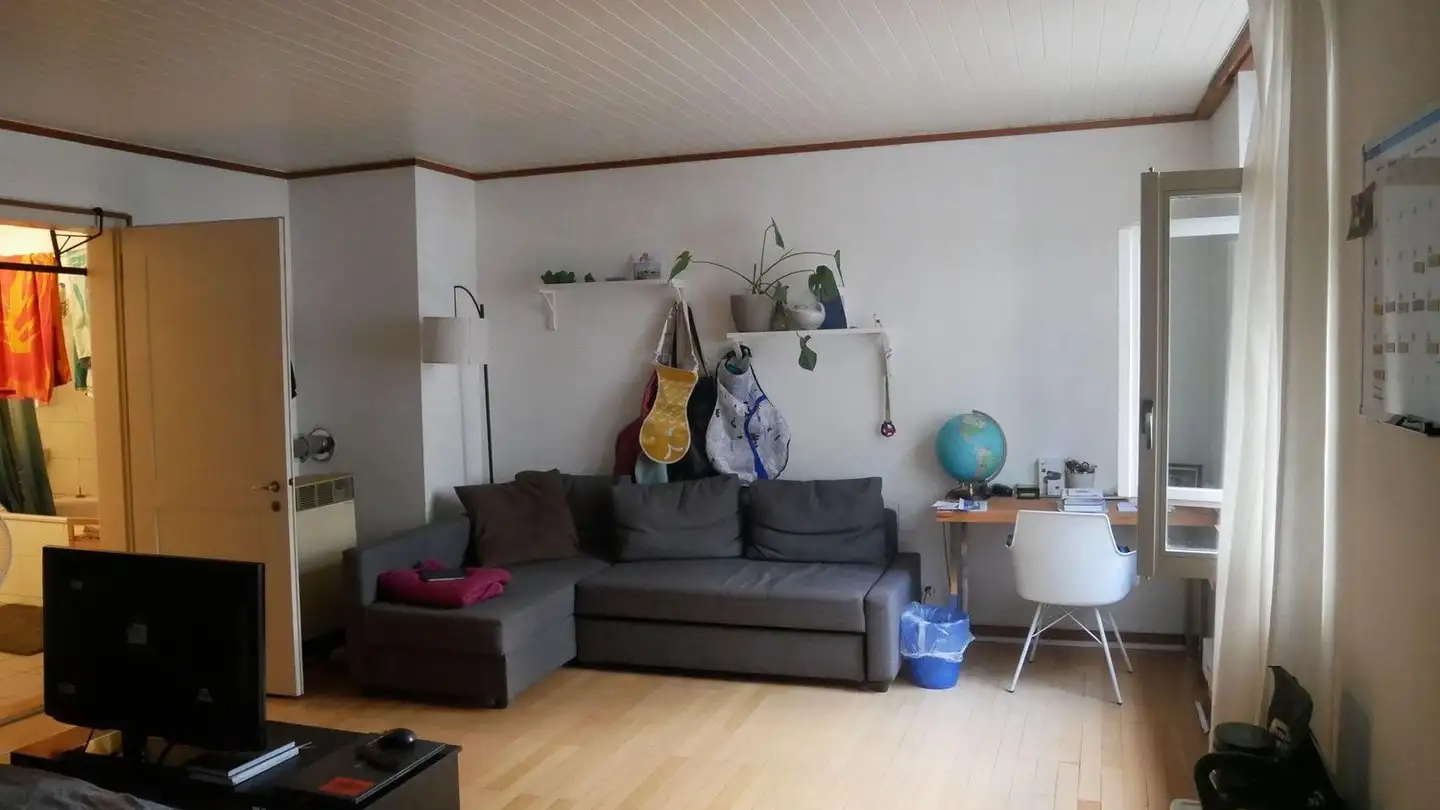 Chambre à louer - 4051 Basel