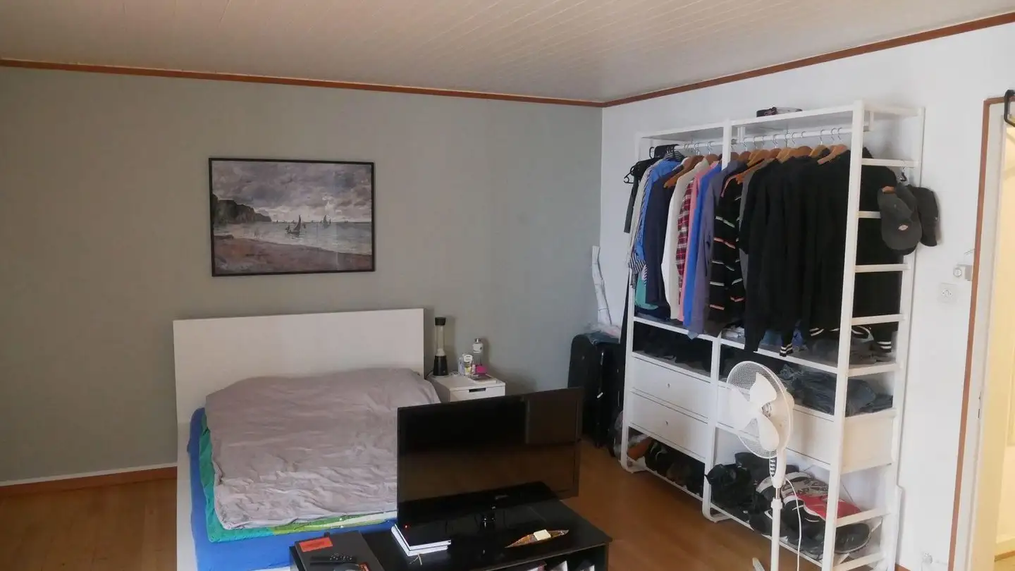 Chambre à louer - 4051 Basel - Photo 2