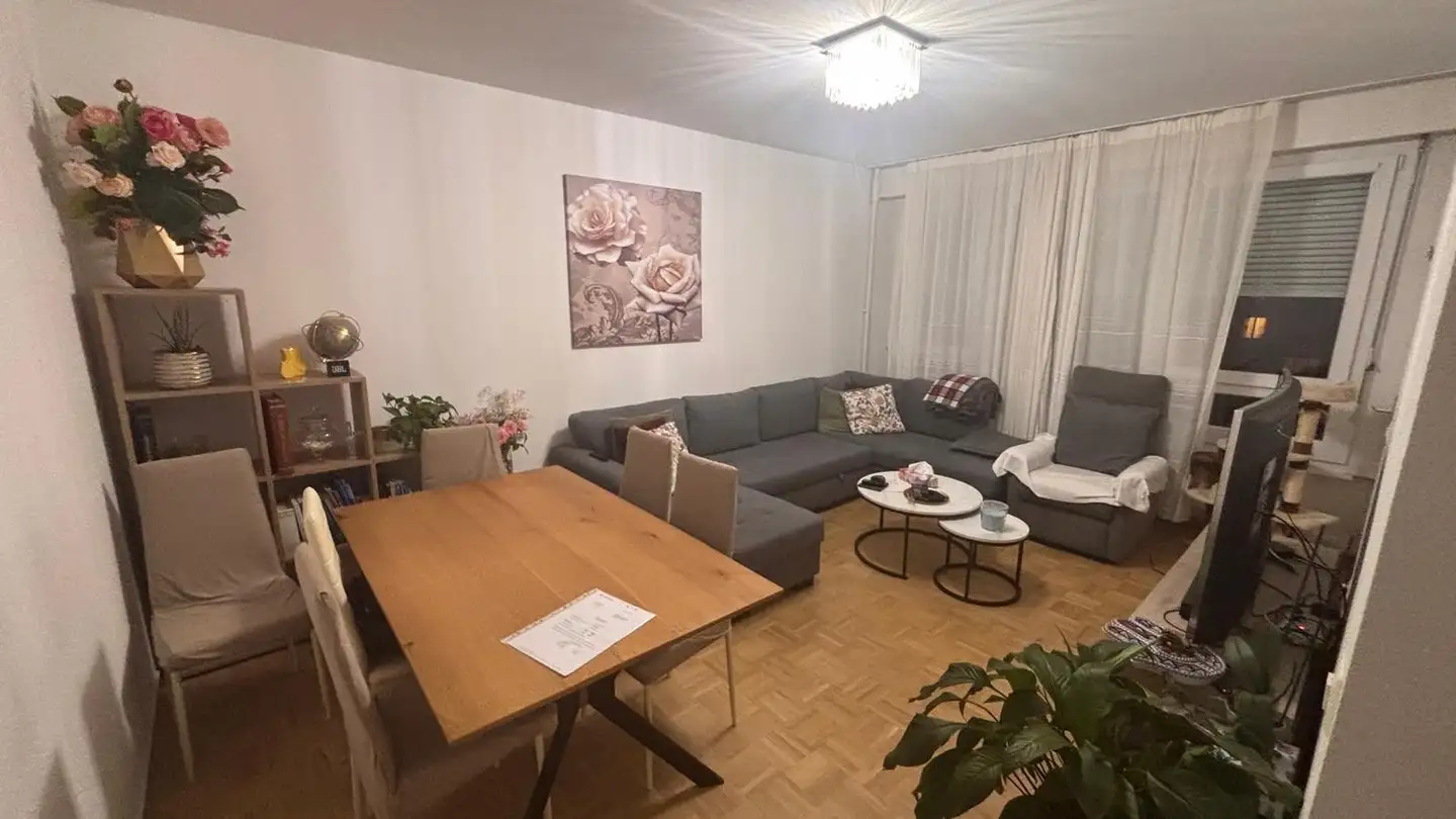 Appartement à louer - Avenue Du Bois-De-La-Chapelle, 1213 Onex