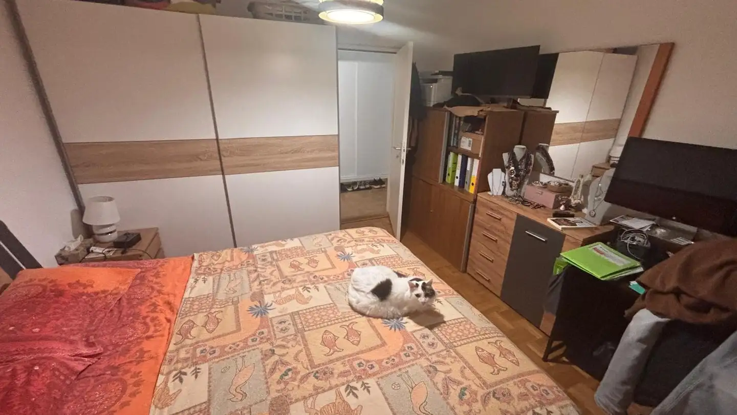 Appartamento in affitto - Avenue Du Bois-De-La-Chapelle, 1213 Onex - Photo 2